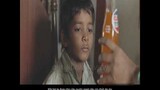 Review phim: Tìm mẹ |Cậu bé đi nhầm tàu lạc mất anh trai và tận 25 năm sau mới tìm lại được gia đình