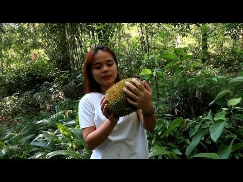 gadis Dayak ❗❗mencari buah durian di tengah hutan Kalimantan