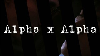 【朱一龙水仙】Alpha x Alpha |双A设定|车慎入（楠邪/笙邪/楠笙x吴邪）