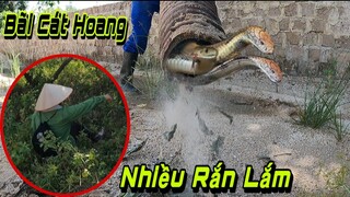 Tìm Đến Bãi Cát Hoang Nơi Bà Lão Chăn Bò Chỉ và Cái Kết Bất Ngờ | QQN86