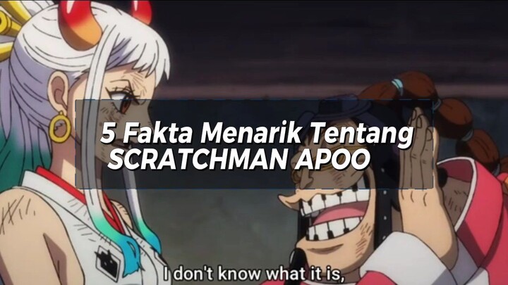 5 Fakta Menarik Tentang SCRATCHMAN APOO 🔥 | Fakta One Piece