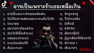 รวมเพลงเพราะๆใน TikTok - อาจเป็นเพราะรักเธอเหลือเกิน, ไม่มีใครตายเพียงเพราะคนอื่