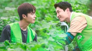 Love Tractor|Episode 4 English Sub|Best Korean BL