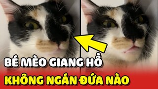 Bé mèo GIANG HỒ có mẹ chống lưng chưa NGÁN 1 ai 😂 | Yêu Lu