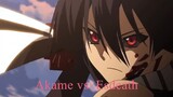 Akame Ga Kill 2014 Akame vs. Esdeath