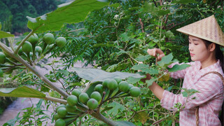 [Makanan]|Rebus Tomatillo+Kaki Sapi+Tomat