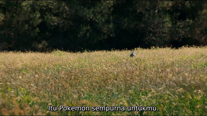 Pokemon detective pikachu (2019)(sub indo)