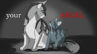 Your Angel | PMV | HEAVY FIELDS OF GOLD SPOILERS