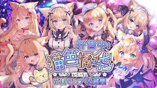 6岁的大猫猫也能有自己的收藏集啦！(>^ω^<)