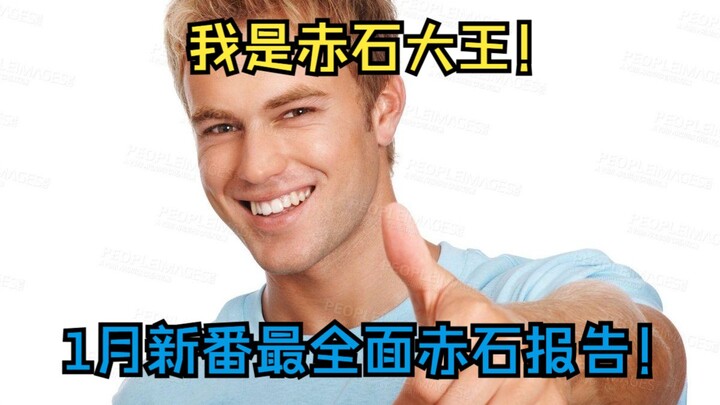 我是赤石大王！一口气带你速览并排雷2025年1月新番所有的石！