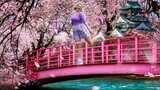 The Magic of Cherry Blossom Season in Japan