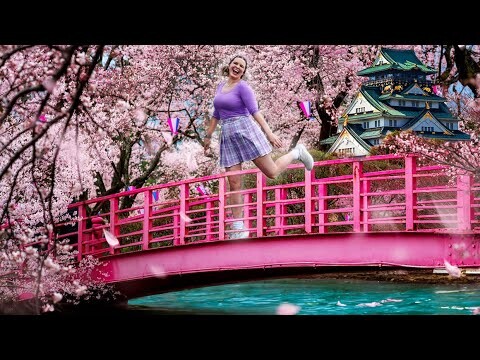 The Magic of Cherry Blossom Season in Japan