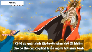 Top 6 _Quái Vật 3 Đầu_ Trong One Piece #6 3