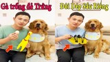 Dương KC | Đa Đa Tinh Quái #2 | chó thông minh đáng yêu | cute smart dog pet | Thú Cưng TV