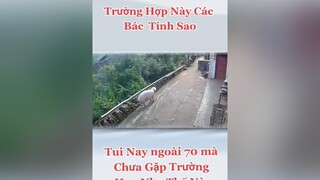 thấy hay tiếc gù 1 tim ạ❤hàihước cuoi cuoibebung