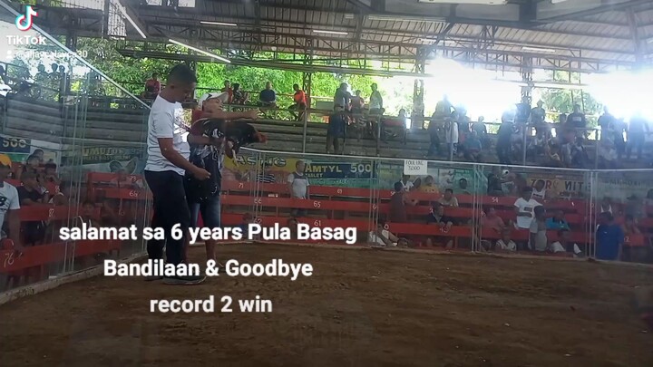 Signature line Fighter Jet Pula Basag Bandilaan Vs Alimbugin