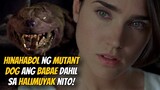 Isang Napakagandang Babaeng Scientist Ang Hinahabol Ng Mutant Dog Dahil Sa Amoy Na...