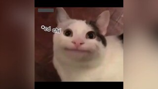 Ca dao tục ngữ của gen Z kiểu:)