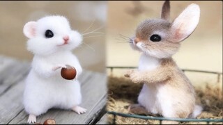 Cute Baby Animals Videos Compilation | Funny and Cute Moment of the Animals #8 - Cutest Animals 2023