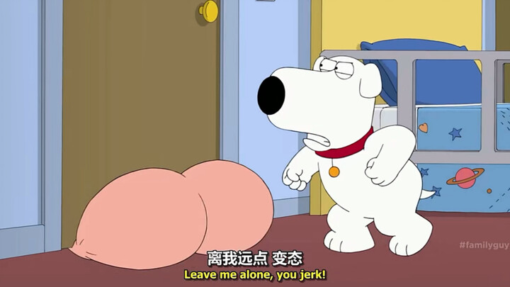 family guy（Pet逼Bri看luo体的二三事 01