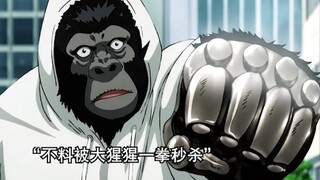 One Punch Man: The gorillas who buy groceries and cook on the road are so strong😂