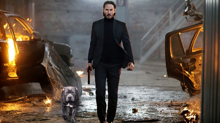 【夜魔】John Wick 单挑击杀211人锦集