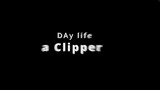 Daliy life a Clippeer