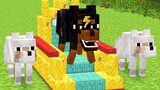 Monster School : DOG Become Superhero because Mom - Sad Story - Minecraft Animation