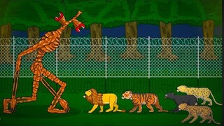 LION,TIGER,PANTHER, LEOPARD,JAGUAR VS SIREN HEAD | ANIMATION