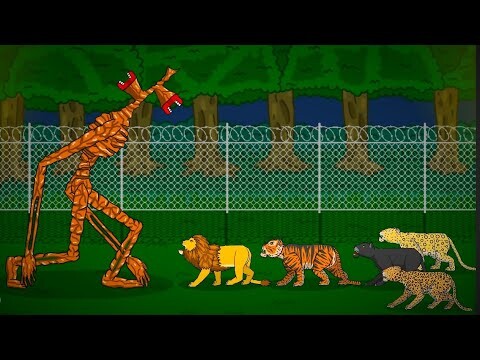 LION,TIGER,PANTHER, LEOPARD,JAGUAR VS SIREN HEAD | ANIMATION