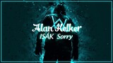 Alan Walker & ISÁK - Sorry (Vietsub + Lyrics)