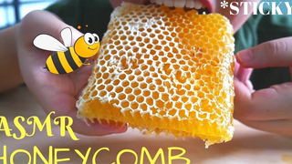 ASMR RAW HONEYCOMB (ซารัง มาดู) เสียงกินเหนียว ASMR อินโดนีเซีย ไม่พูด