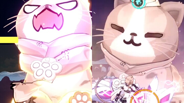 [Honkai Impact 3 test suit] 8 jenis panggilan kucing dalam kaleng (CV: Hua Ling)