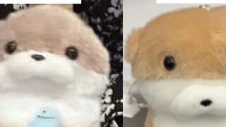 Wumi: He is so ugly! He looks like a dog! How dare you sell it for 170!