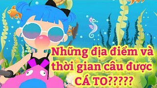 Mẹo câu được cá QUÝ HIẾM trong Play Together