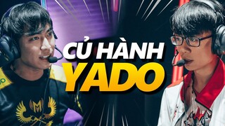 MANG JARVAN VÀO RỪNG GẶP NGAY "GIANG HỒ CỎ" YADO | LEVI STREAM