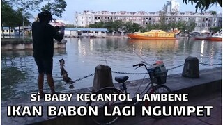 Aseeem!! Si baby kembali jadi korban