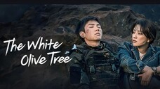 🌸The.white.olive.tree EP30🌸