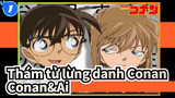 Thám tử lừng danh Conan|[AMV]Conan&Ai ：Họ đã từng yêu_1