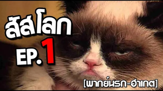 สัตว์โลก โคตรป่วน ep 1 พากย์นรก ฮาเกต Pet Talk