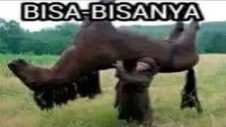 Asupan meme absurd yang saya temukan di internet part #34