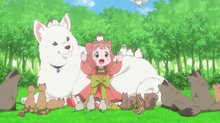 Fluffy Paradise Episode 1 English Subbed | Latest Full Episode English Subbed