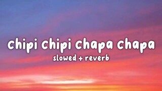 Chipi Chipi Chapa Chapa.. (Lyrics Video)