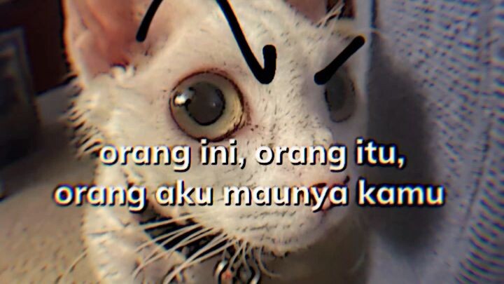 Tohru beruntung banget bisa dapetin dia😃| aku jadi iriiii🥲