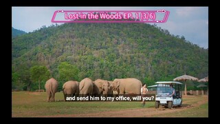 Lost in the Woods EP. 1 (3/6)