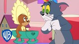 Tom & Jerry in italiano 🇮🇹 | Jerry viene adottato | WB Kids