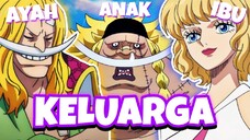 WEEVIL ANAK KANDUNG SHIROHIGE?! Teori One Piece