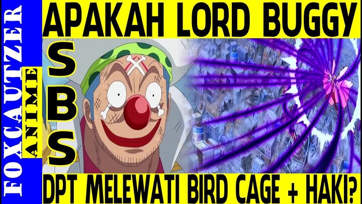 SBS ! Apakah Buggy Dapat Melewati BirdCage Doflaminggo ? Ini Jawabannya