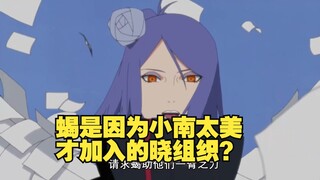 火影忍者 盘点晓成员都怎么被招进晓组，蝎因为小南太美？
