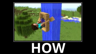 WAIT WHAT (Minecraft) #22